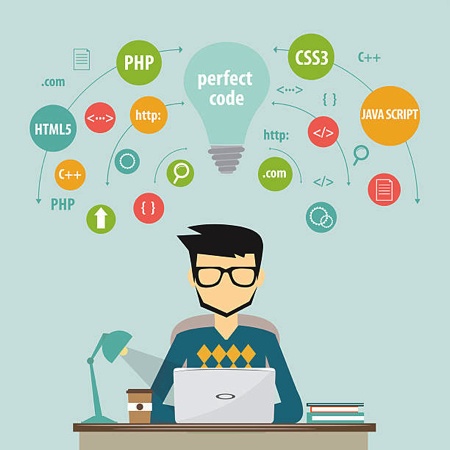 Software Developer